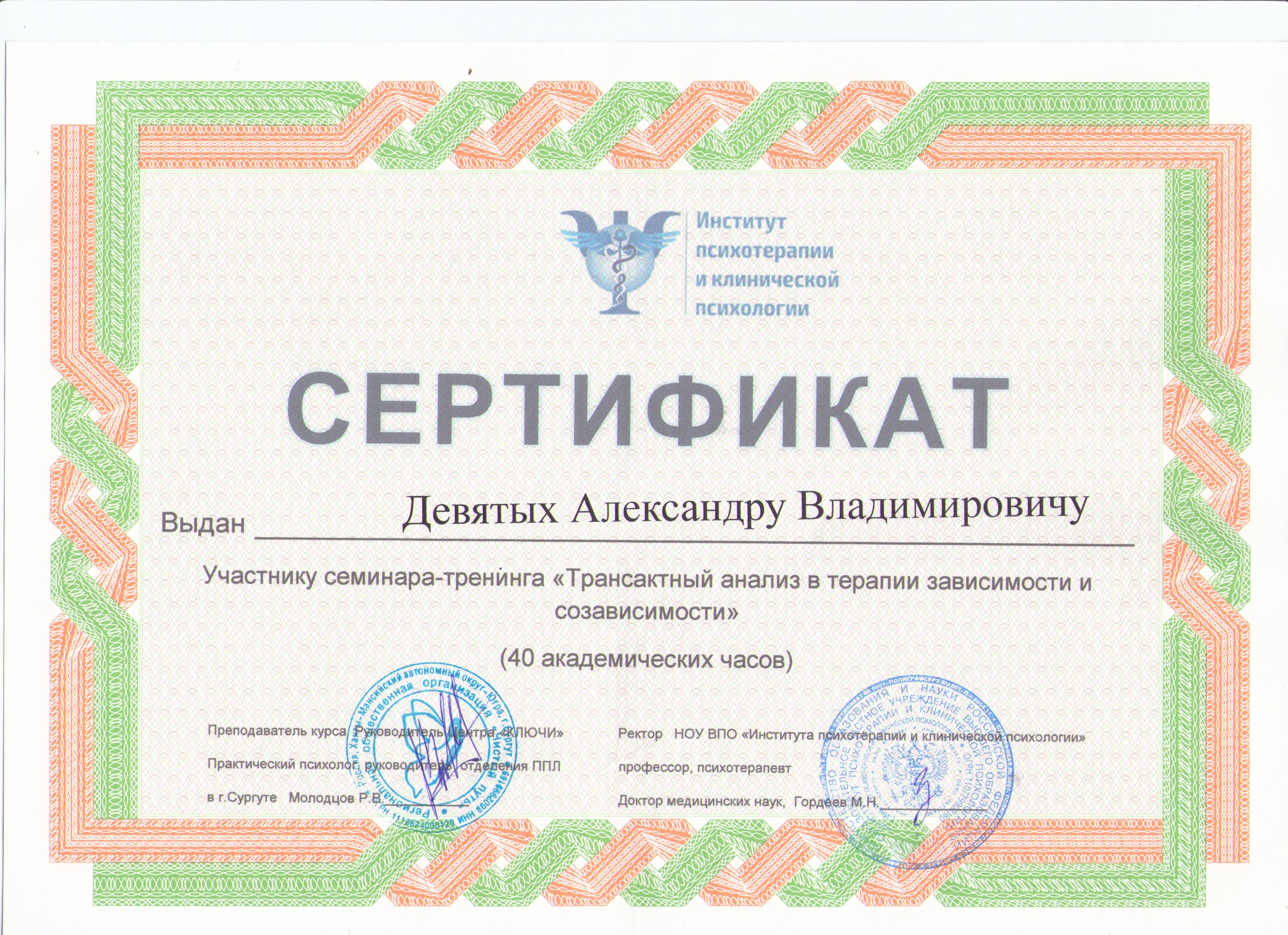 Сертификат Девятых 002