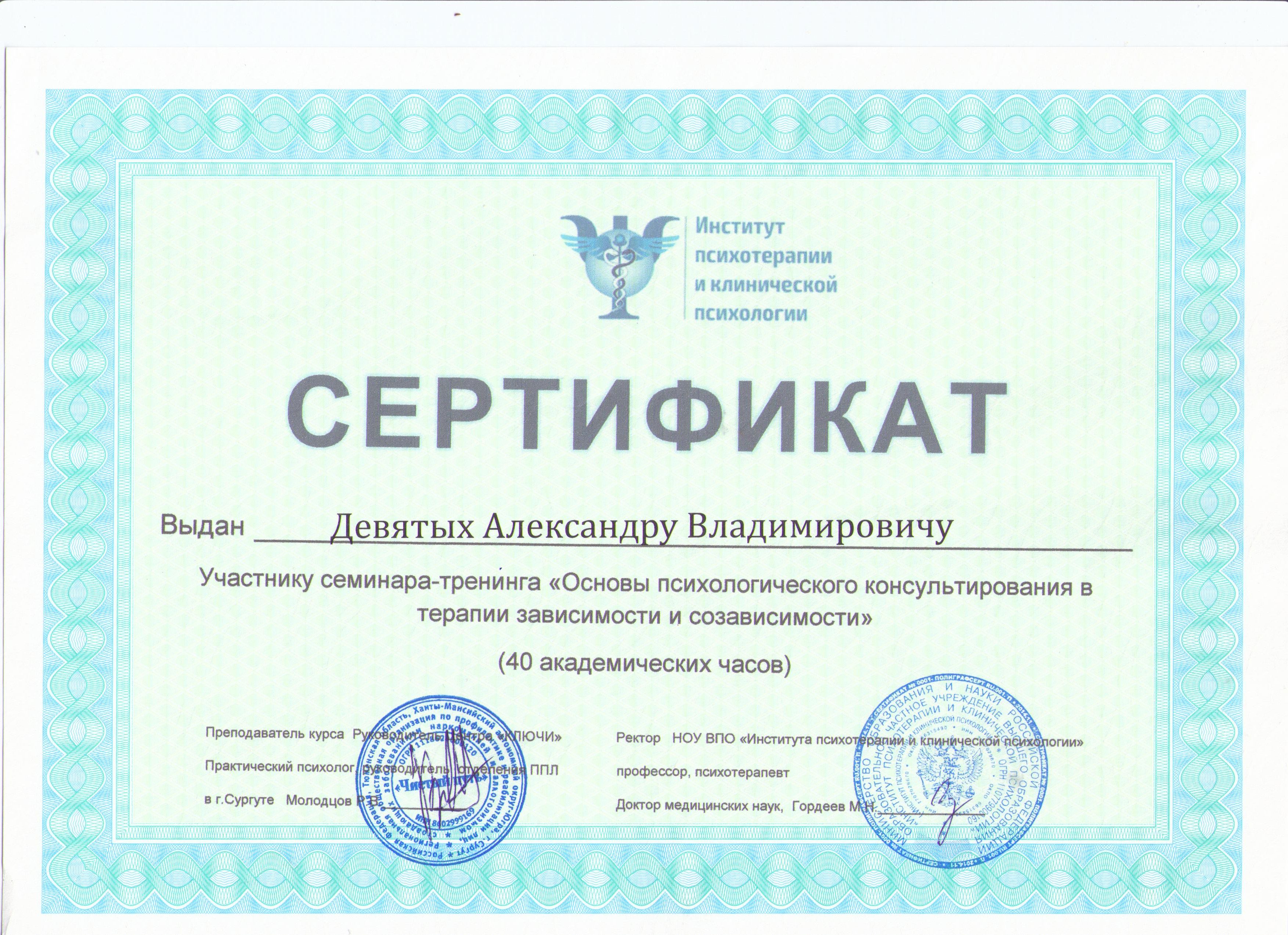 Сертификат Девятых 003